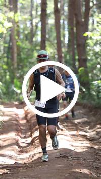 BIB:  <button type="button" onclick="openModal(26569538)" class="btn btn-primary btn-sm float-right" data-toggle="modal" data-target=".modal-high-quality">
                <i class="fa fa-download"></i> Download
                </button>